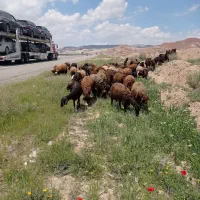 با سلام دوستان عزیز