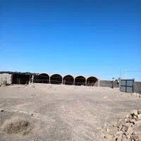 گاوداری|فروش دفتر صنعتی، کشاورزی، تجاری|فردوس (خراسان), |دیوار