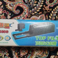 اکواریوم|ماهی|قزوین, |دیوار