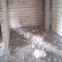 فروش واحد راه جدا|فروش آپارتمان|املش, |دیوار