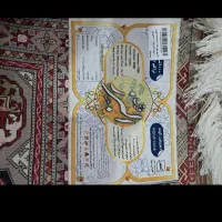 فرش ۹متری ۱۰۰۰شانه هلال البرز پنج ولایت|فرش|آق قلا, |دیوار