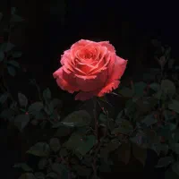 بلیط کنسرت مجید خراطها زیر قیمت