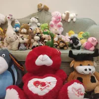 عروسک ایرانی خارجی