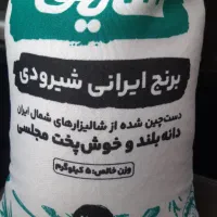 برنج ایرانی شیرودی