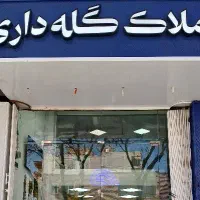 120متری همکف.خ.حافظ