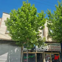 فروش ۲مغازه و واحدمسکونی دوکله در کمربندی جنوبی