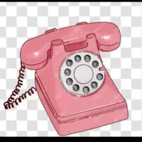 شماره ثابت  رند فروشی ۳۴۴۵۵۹۶۹