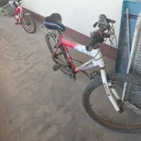 دوچرخه