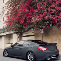 استخدام راننده در نمایشگاه