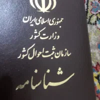 کارت گمشده
