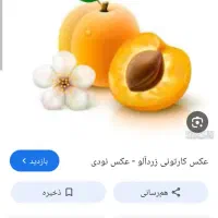 درآوردن هسته زرد الو