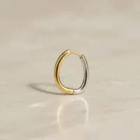 گوشواره دو رنگ