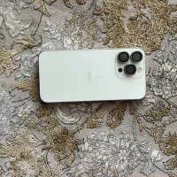 13pro