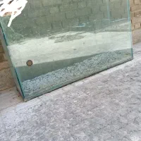 آکواریوم