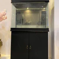 اکواریوم شرکتی با میز و تمامی وسایل
