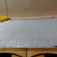 توشک
