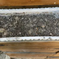 دکور گل و گلدان چوب روس|گل و گیاه طبیعی|شیراز, شهرک مطهری|دیوار