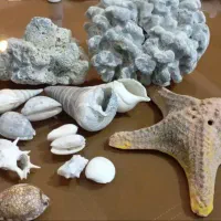 سنگهای تزئینی