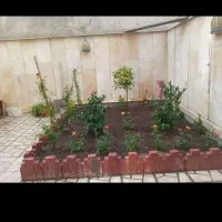 خدمات باغبانی وهرس کاری در تمام نقاط ته ان