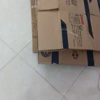 کارتن