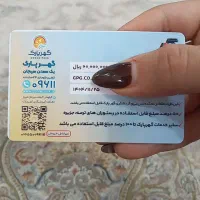 کارت گهر پارک