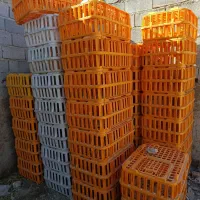 سبد حمل مرغ زنده