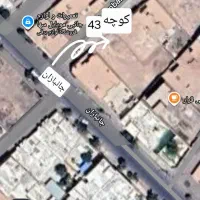 زمین-با-پروانه-شفته-خیابان-جانبازان