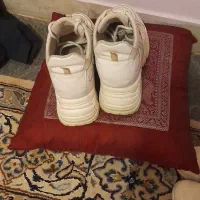 کفش وکتانی|کیف، کفش، کمربند|تهران, آسمان|دیوار