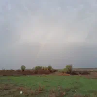 اجاره چاه اب همراه با ۴ هکتار زمین