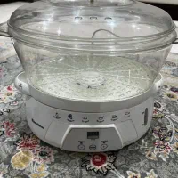 بخار پز همیلتون