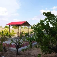 باغچه۳۶۰ متری دیوارکشی شده