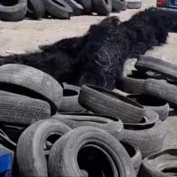 استخدام کارگر اقا