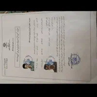 مدارکم گوم شده داخل یک کاور سبز رنگ