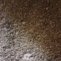 کود گوسفندی