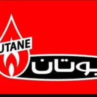 رادیاتور پنلی  بوتان  100 سانتی متری