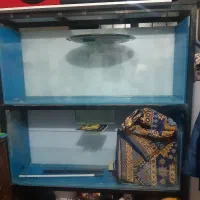 اکواریوم سالنی