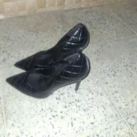 کفش مجلسی نو|کیف، کفش، کمربند|قروه, |دیوار