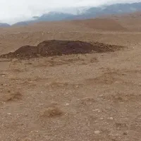 فروش انبار گوسفندی و حمل بار تیموری