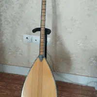 باغلاما دسته کوتاه دیار