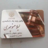 وکیل حرفه ای تهران ملکی ثبتی کیفری خانواده|خدمات مالی، حسابداری، بیمه|تهران, سهروردی|دیوار