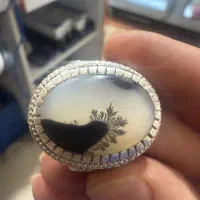 شجر منظره|بدلیجات|اهر, |دیوار