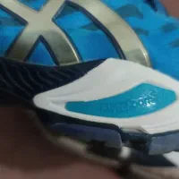 کفش والیبال آسیکس|کیف، کفش، کمربند|کردکوی, |دیوار