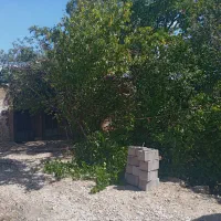 خانه باغ قدیمی نصراباد بعداز تفت واسلامیه|فروش خانه و ویلا|تفت, |دیوار