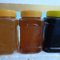 عسل طبیعی تفتان|خوردنی و آشامیدنی|خاش, |دیوار