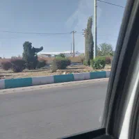 پوشک بزرگسال