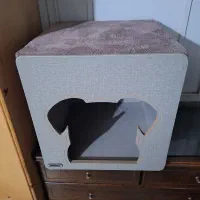 باکس و خانه گربه سگ