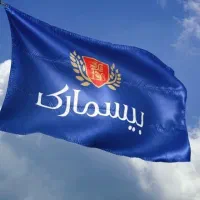 بازاریاب حرفه ای