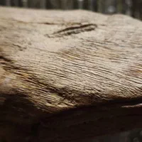 مجسمه نهنگ از چوب گردو کار استادکار اصفهانی|مجسمه، تندیس، ماکت|قزوین, |دیوار