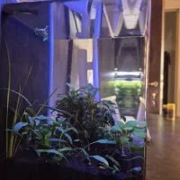 آکواریوم دلسا