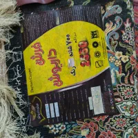 فرش ۹متری ۷۰۰ شانه تک|فرش|زنجان, |دیوار